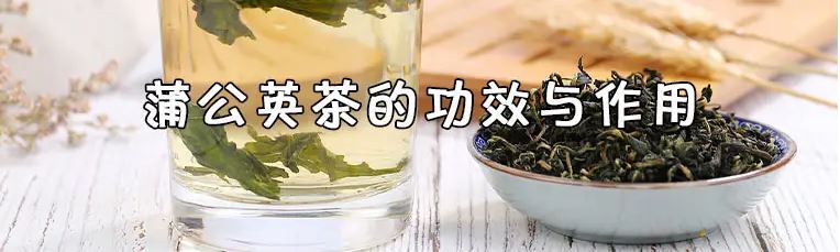 蒲公英的功效與作用